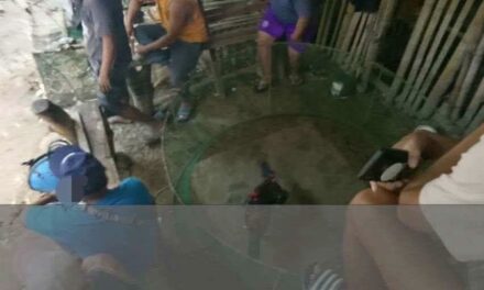 5 arestado, 6 nakapalagyo sa pauwak sa Calinog