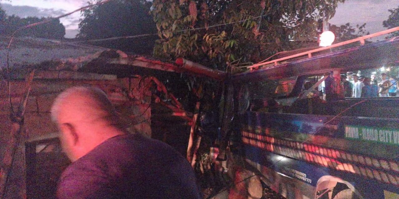 1 patay, 1 pilason sang nabungguan sang depasahero nga jeep sa Pavia
