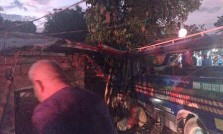 1 patay, 1 pilason sang nabungguan sang depasahero nga jeep sa Pavia