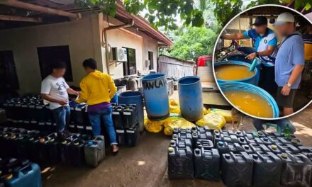P780,000 nga balor sang illegal nga gina-manufacture nga food products nakumpiskar sa San Dionisio