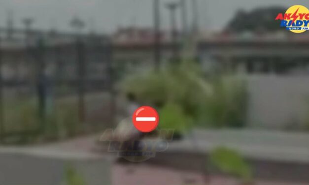 Ginapatihan naga-sex sa Esplanade 11 sa Progreso, Lapuz nakuhaan sang video