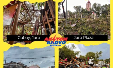 Mga Balay, pangabuhian, ginhalitan sang buhawi sa Iloilo City