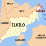 Asawa nga luyag na makigbulag patay sang gintiro sang iya bana sa Carles