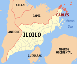Asawa nga luyag na makigbulag patay sang gintiro sang iya bana sa Carles