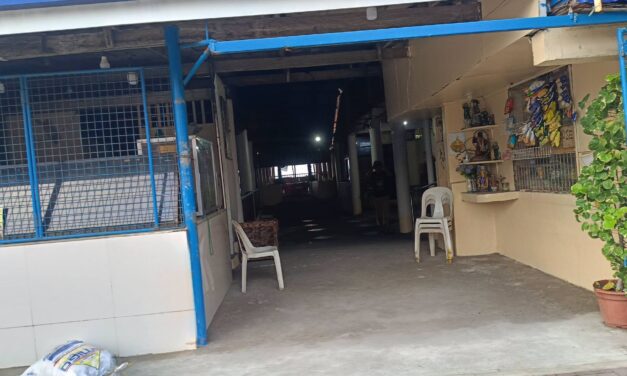 Menor-de-edad nadakpan nga nagkawat sang kaha nga may benta sang kalan-an sa Sto. Niño Sur, Arevalo