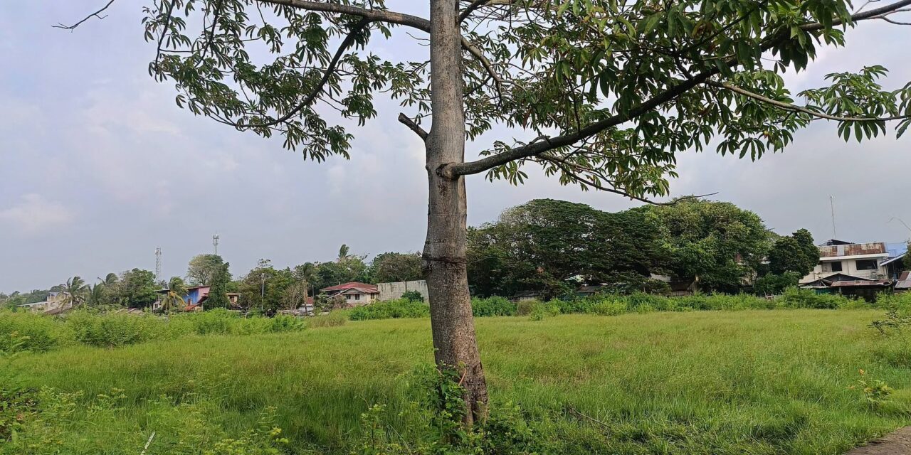 18-anyos nga residente sa Calaparan, Arevalo nasapwan nga naga-id sa puno sang duldol kag may naga-ungot nga kutsilyo sa ulo