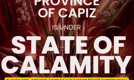 Capiz ginpaidalum sa State of Calamity tungod sa halit sang Red-striped soft scale insect sa mga tubo