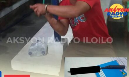 Bana arestado sang nagmaoy kag nanglagas sang ginpataliwis nga kabilya sa Pavia