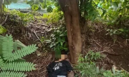 Solterito nasapwan patay sa punongan sa Brgy. Balud Lilo-an, Zarraga