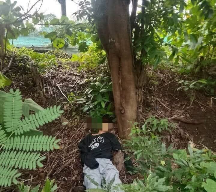 Solterito nasapwan patay sa punongan sa Brgy. Balud Lilo-an, Zarraga