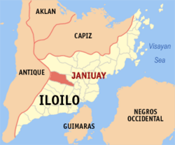 Mag-business partners patay sang gintiro sa Janiuay; Suspects nagapabilin nga at-large
