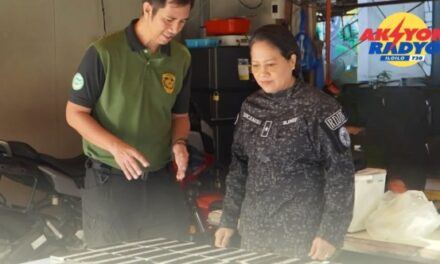 35 ka cellphones na-recover sa sulod sang jail facility sa Ungka, Jaro — BJMP 6