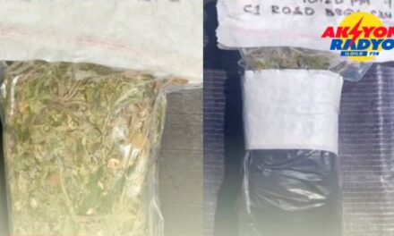 Plastic nga may unod nga marijuana nakit-an sa higad sang karsada sa Arevalo