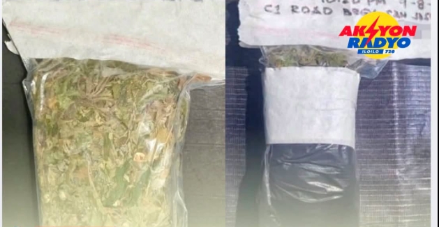 Plastic nga may unod nga marijuana nakit-an sa higad sang karsada sa Arevalo