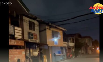 Pagdeklarar sang “State of Calamity” sa Western Visayas tungod sa energy crisis gin-endorso ni Iloilo City Mayor Raisa Treñas sa Regional Development Council Meeting