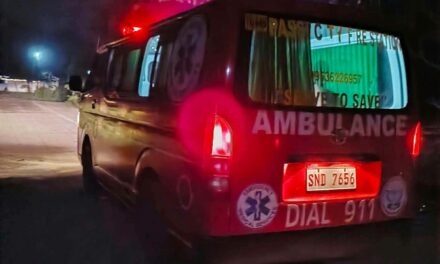 7 ka tuig nga bata patay sang nalumos sa suba sa Passi City