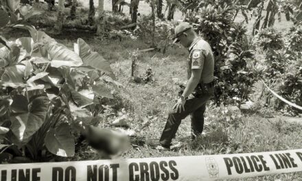 Amay patay sang ginlampusan sang kawayan sang iya bata sa Badiangan; bata una nga ginlampusan sang baston sang amay – police