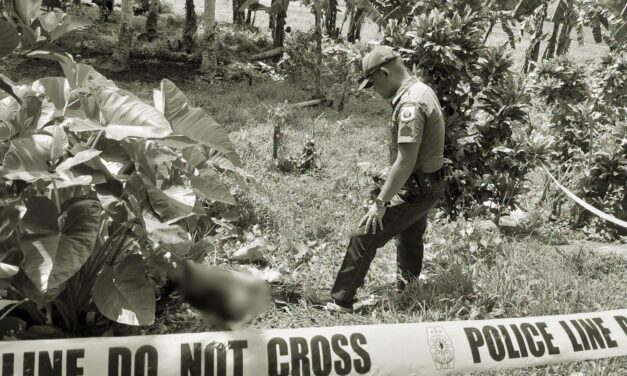Amay patay sang ginlampusan sang kawayan sang iya bata sa Badiangan; bata una nga ginlampusan sang baston sang amay – police