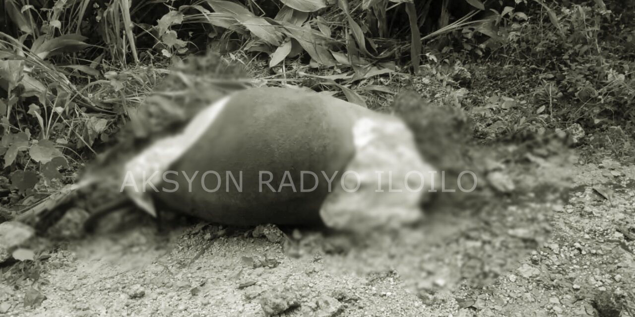 Baka nasapwan nga wala na sang ulo kag 4 ka tiil sa Sibunag, Guimaras