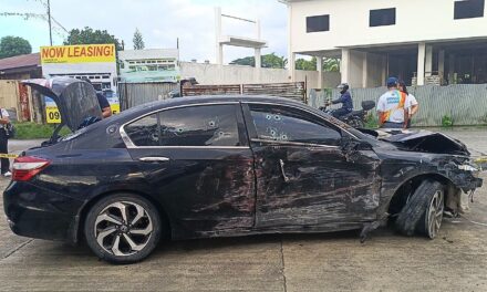 3 ka kaso ipasaka batuk sa doktor nga nag-hit-and-run sa La Paz