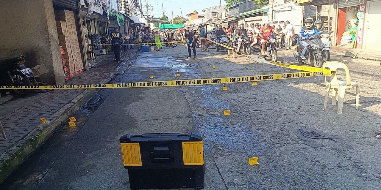 Doktor nga driver sang awto nga naka-hit-and-run sa tiyangge, traysikol sa Baldoza, La Paz pilason sang ginlagas kag gintiro sang nagresponder nga mga pulis