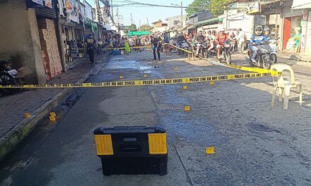 Doktor nga driver sang awto nga naka-hit-and-run sa tiyangge, traysikol sa Baldoza, La Paz pilason sang ginlagas kag gintiro sang nagresponder nga mga pulis