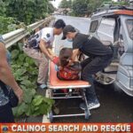 25-anyos nga nagakay-o sa tangkal sang baboy nakuryente sa Calinog