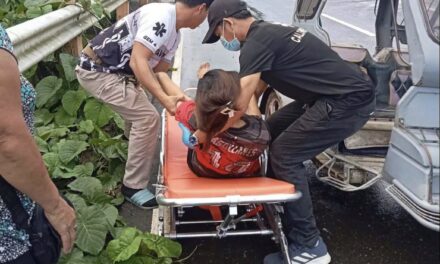 25-anyos nga nagakay-o sa tangkal sang baboy nakuryente sa Calinog