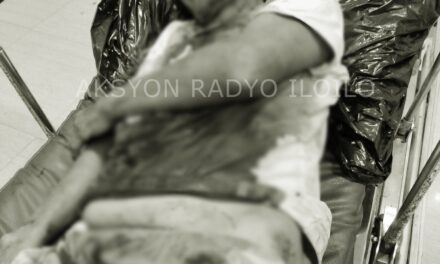 Senior Citizen nga babaye ginlabo sang espading sa Passi City