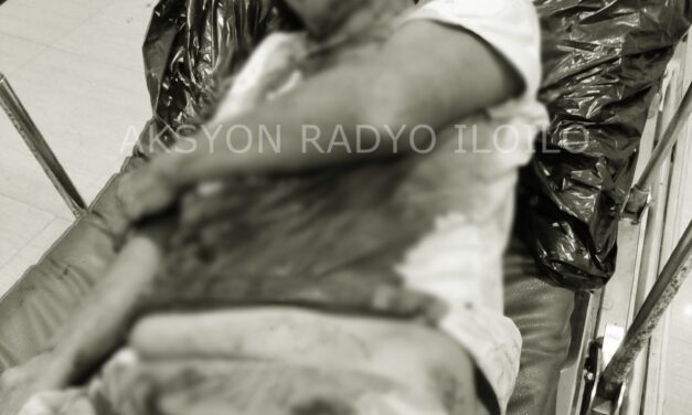 Senior Citizen nga babaye ginlabo sang espading sa Passi City